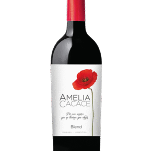Amelia Cacace Blend de tintas